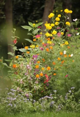 Bild: Schau, was du angerichtet hast - erleb-bar lädt zur Beetpflege ein