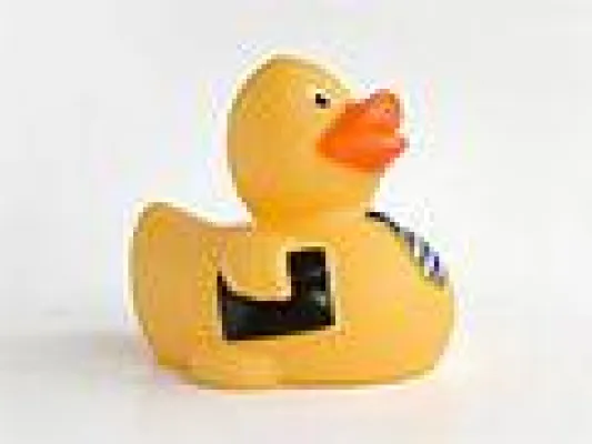 Badeente sucht Schlipsträger Bild: Badeente sucht Schlipsträger