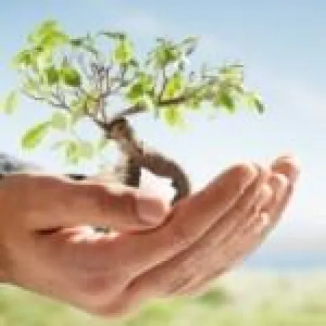 Kreativmethoden und Ideenfindung Bild: Kreativmethoden und Ideenfindung