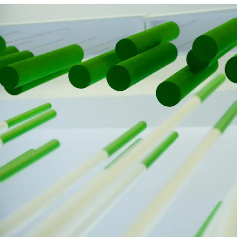 Bild: FTWild macht's grün und lässt die Searchmetrics GmbH in neuem Glanz erstrahlen