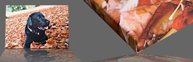 Bild: Kreative Fotoprodukte von Fotobuch-XXL für neuen Schwung