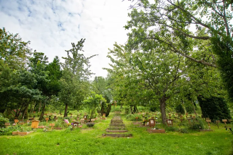 Bild: Der erste Tierfriedhof in Deutschland wird 25