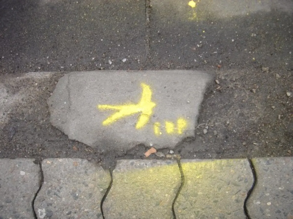 Gelbe Bordsteinschwalbe markiert die Schäden an den Gehwegen