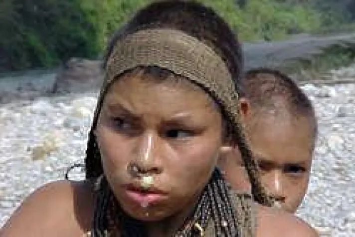 Bild: Survival warnt UN vor Ölpipeline in Peru