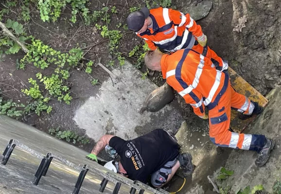 Bild: Ende gut, alles gut in Werne