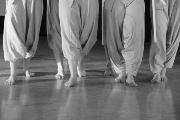 Bild: Creating Dance in Art and Education – Tanzpädagogik und Choreografie