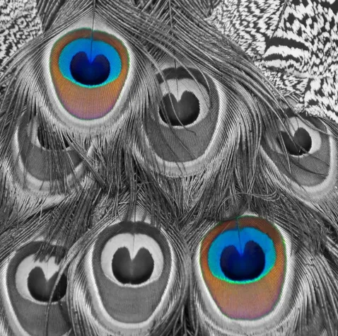 Bild: Fotoworkshop 'Einstieg in die Bildbearbeitung mit Photoshop Elements' in Hannover