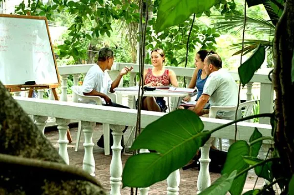 Bild: Vokabeln lernen unter Palmen – Sprachreisen in die Karibik