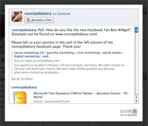 Bild: Deutsche Agentur bei Facebook Fan Box Widget ganz vorne mit dabei