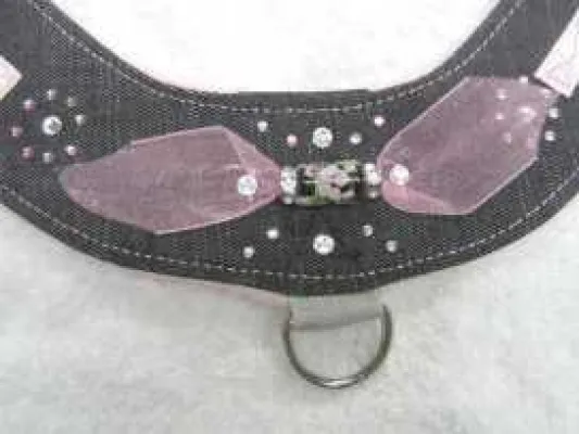 Bild: Designerin entwirft für Hunde neues Softhalsband