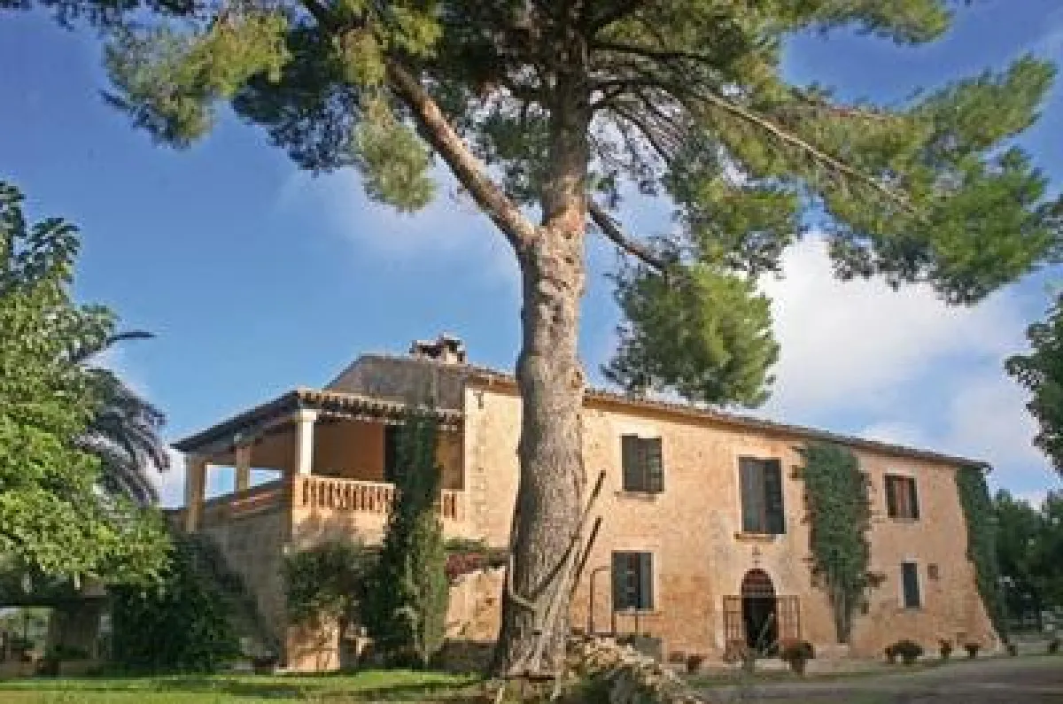 Mallorca Wein - Bodega Oliver Moragues Binicomprat