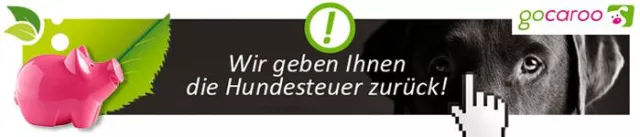 Bild: Der Online-Shop Gocaroo erstattet Hundebesitzern die Hundesteuer