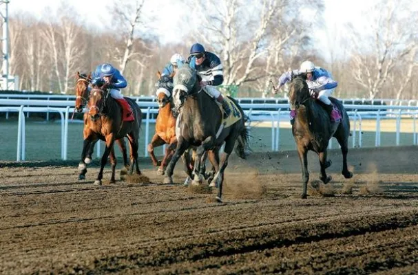 Bild: Magna Racino - Artistic Perfection von Ibikus im Sprinterduell gejagt