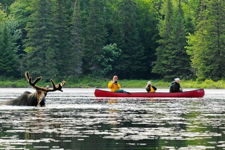 Mit der neuen Webseite yukonreisen.de ins Grenzgebiet Bild: Mit der neuen Webseite yukonreisen.de ins Grenzgebiet