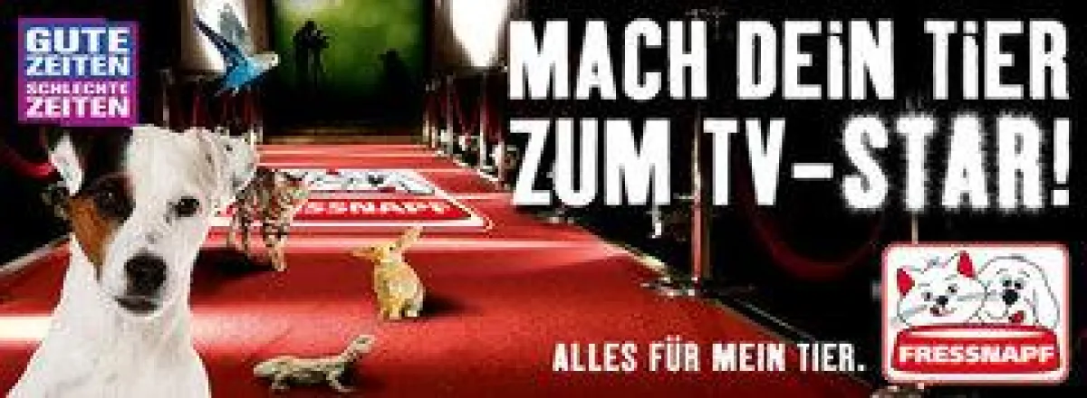 Mach Dein Tier zum TV-Star!