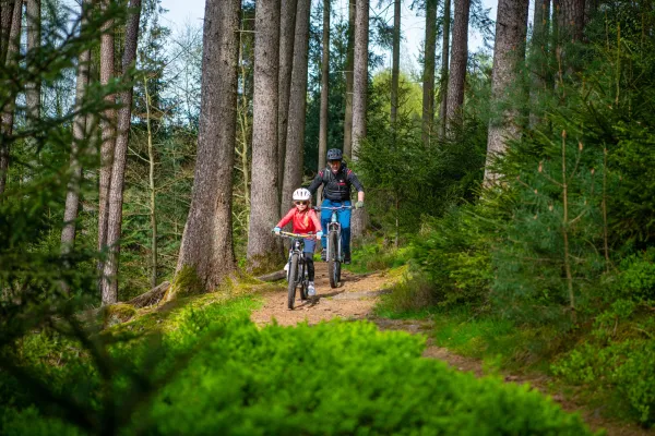 Bild: Mountainbike-Spaß im Pfälzerwald für die ganze Familie