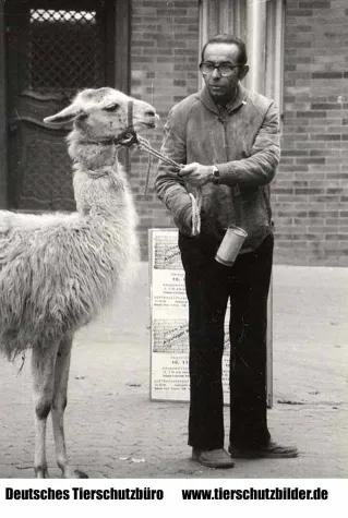 Bild: Betteln mit Zirkustieren ist meistens gesetzeswidrig - DEUTSCHES TIERHILFSWERK und animal public raten: Spenden Sie kein Geld