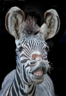 Bild: 1-tägiger Fotospaziergang im Zoo Berlin mit der Fotoschule des Sehens