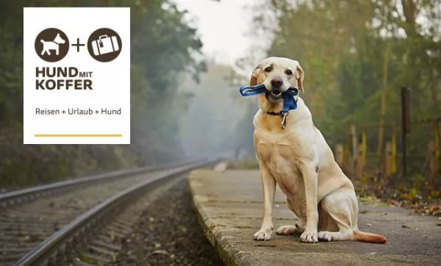 Bild: Hund-mit-Koffer.de ist online. Das neue Reise-Lifestyle-Portal für Hund und Herrchen