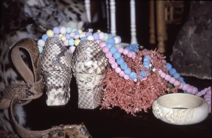 Tourismus bedroht geschützte Arten Bild: Tourismus bedroht geschützte Arten