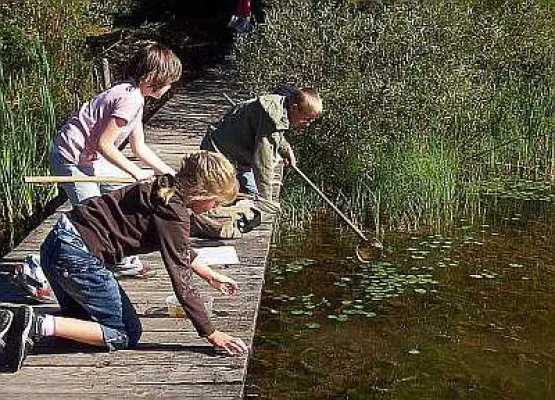 Bild: Natursommer im Loisachtal 2013 - von Kobolden und GPS-Schätzen