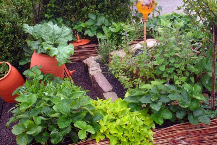 Bild: Highlight für Gartenliebhaber: Garteninseln zum Selberbauen