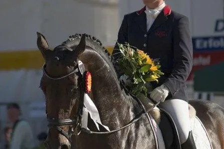 Reitsport: Olympia-Special auf pferdefernsehen.eu Bild: Reitsport: Olympia-Special auf pferdefernsehen.eu