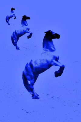 Bild: Das "Pixel-Projekt" - Kunst für einen guten Zweck