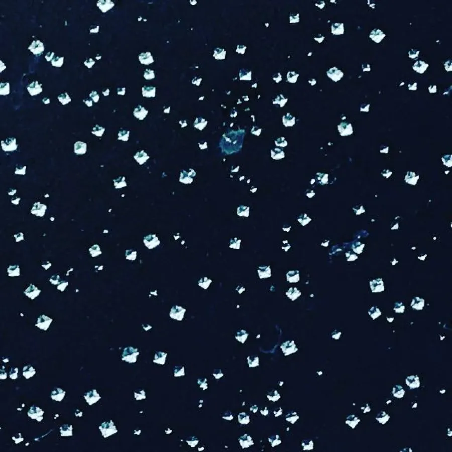 Dominik Rinnhofer, Kristallfluss, 2017, Courtesy der Künstler