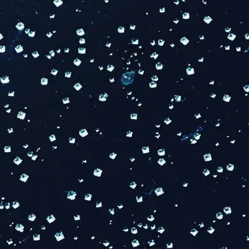 „Kristallfluss – Salzkristalle und Wasser“ - Videoinstallation von Dominik Rinnhofer Bild: „Kristallfluss – Salzkristalle und Wasser“ - Videoinstallation von Dominik Rinnhofer