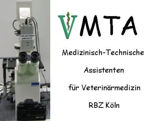 Bild: Veterinärmedizinisch-Technische Assistenten (VMTA) – eine gute Vorbereitung aufs veterinärmedizinische Studium