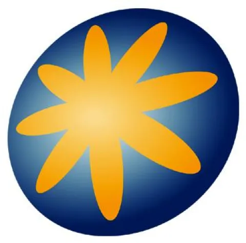 Bild: Der Diploma Thesis Award 2009 der Semiramis Research and Service Unit ging an vier Absolventen