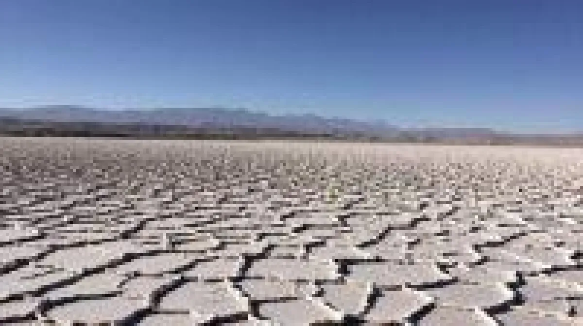 Quelle: Millennial Lithium