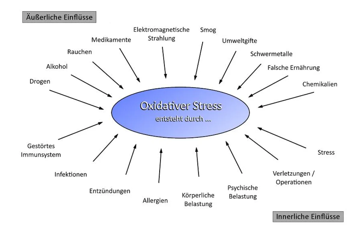 Oxidativer Stress - eine Bedrohung, die jeden betrifft