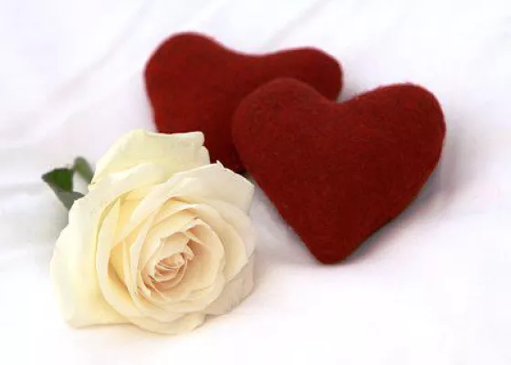 Bild: Erstes „Wüste-Stätte-Fest“ zum 20-jährigen Hochzeitshaus-Jubiläum