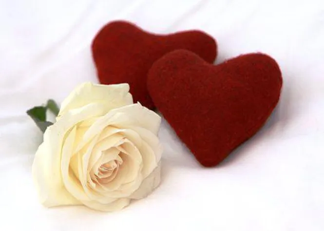 Erstes „Wüste-Stätte-Fest“ zum 20-jährigen Hochzeitshaus-Jubiläum Bild: Erstes „Wüste-Stätte-Fest“ zum 20-jährigen Hochzeitshaus-Jubiläum