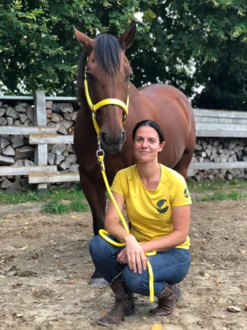 Bild: Systemisches Pferdegestütztes Coaching