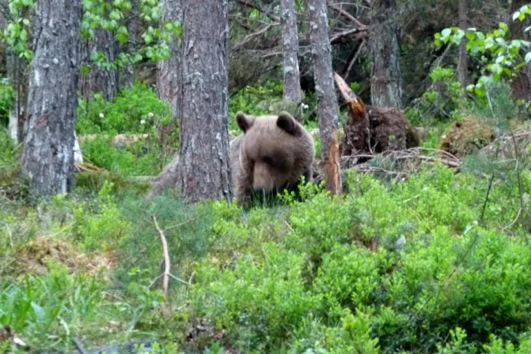 Natur und Kultur im Baltikum Bild: Natur und Kultur im Baltikum