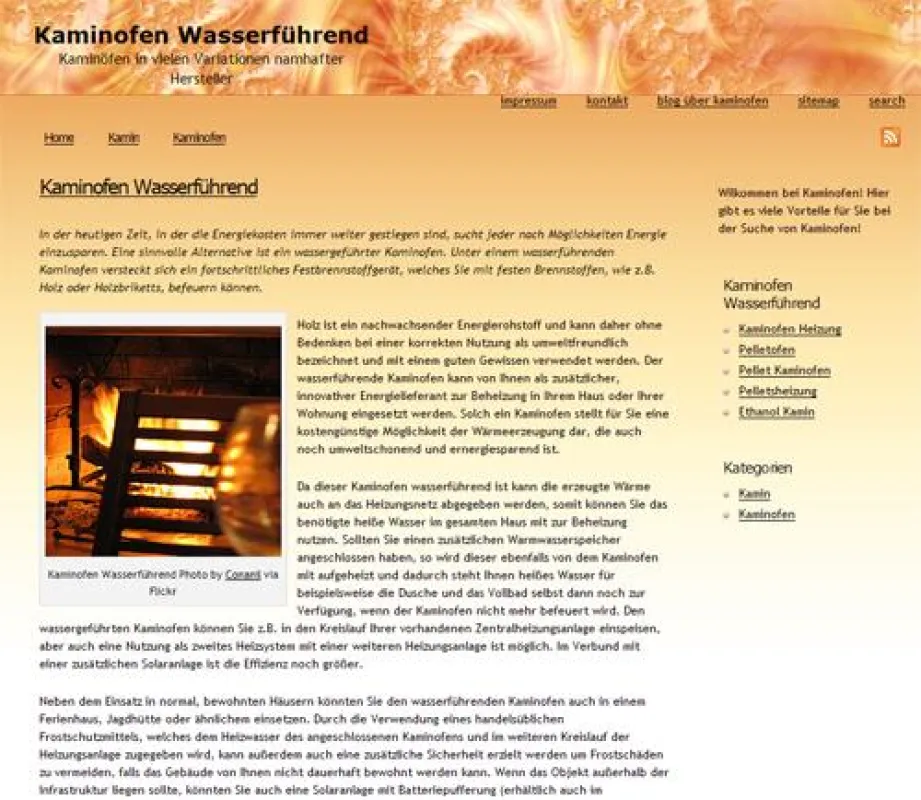 Kaminofen wasserführend