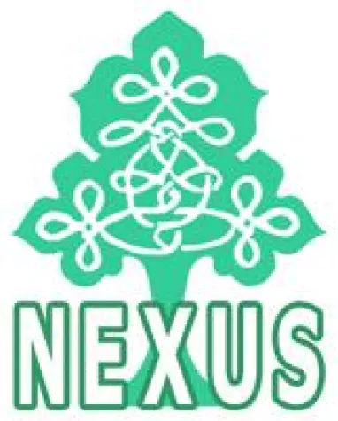 Bild: Mechanismus des Etablierens am russischen Markt