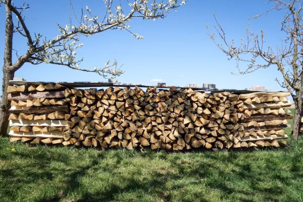 Bild: HolzDiebstahl im Wald ist das erlaubt? Vorsicht vor Holzklau! | AnRo24.de