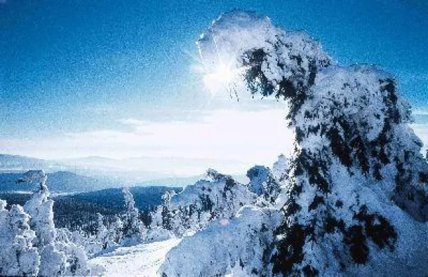 Skigebiet im Bayerischen Wald Wintersportort Bodenmais Bild: Skigebiet im Bayerischen Wald Wintersportort Bodenmais