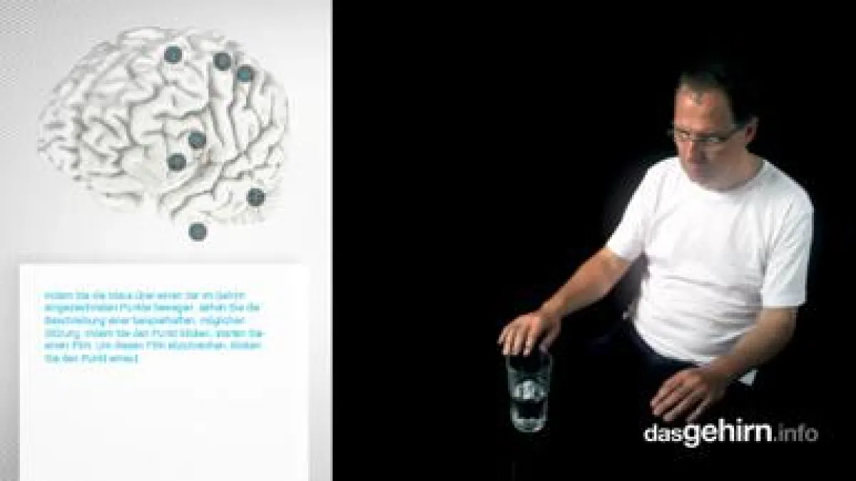 Screenshot der interaktiven Infografik auf www.dasgehirn.info