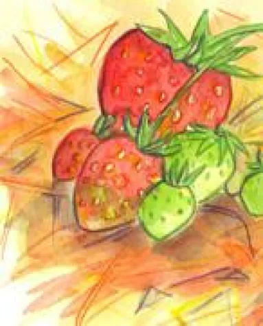 Bild: Erdbeeren – die rote Köstlichkeit