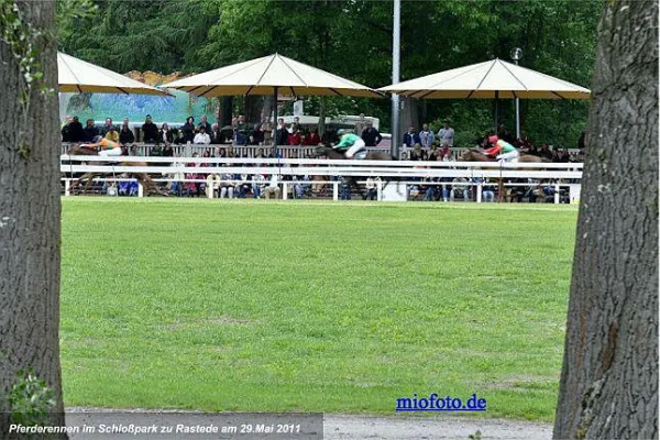 Bild: Jubiläumsveranstaltung des Oldenburger Landesrennverein e.V am 9. Juni 2013 Schlosspark Rastede.