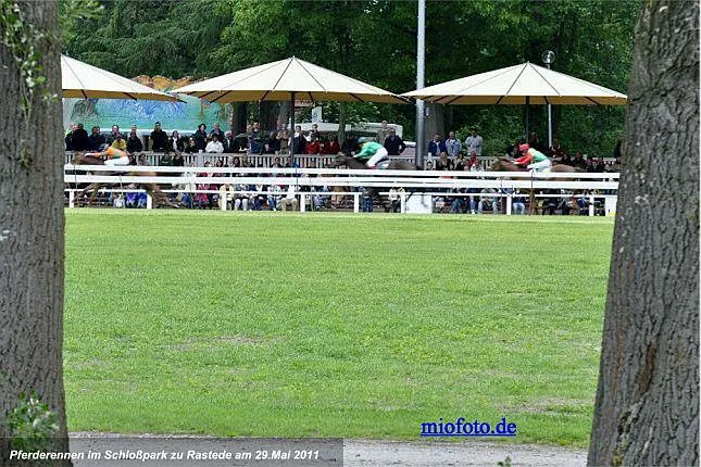 Bild: Jubiläumsveranstaltung des Oldenburger Landesrennverein e.V am 9. Juni 2013 Schlosspark Rastede.