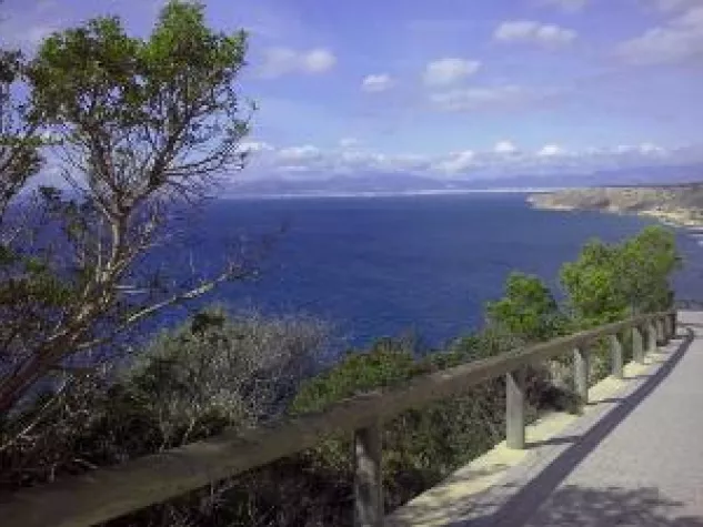 Bild: Weinreisen mit Entspannungstraining auf Mallorca