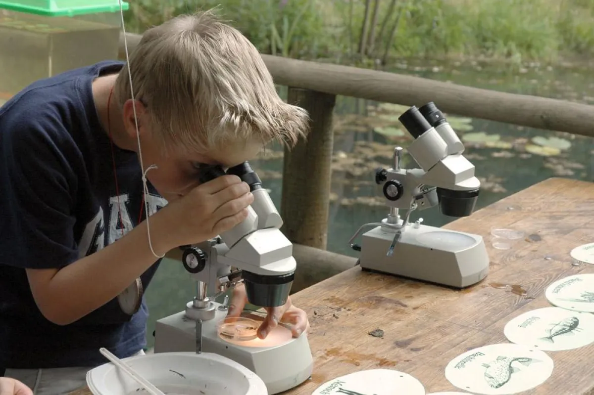 Wasser ist Leben - Mit den Mikroskop läßt sich auf dem Eekholter Wassermarkt viel entdecken