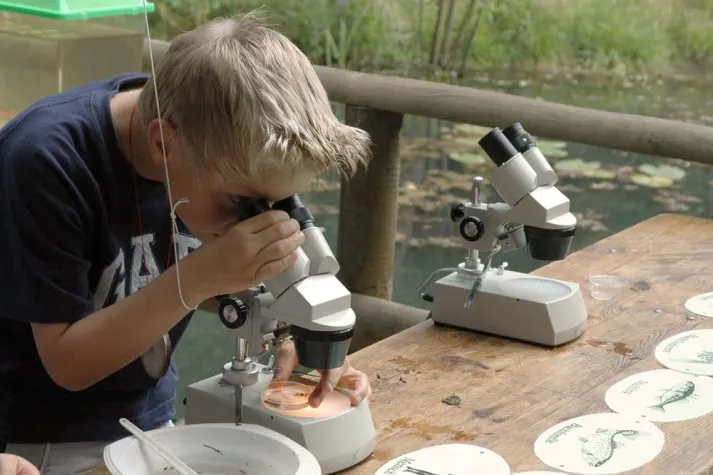 Eekholter "Wassermarkt" Bild: Eekholter "Wassermarkt"