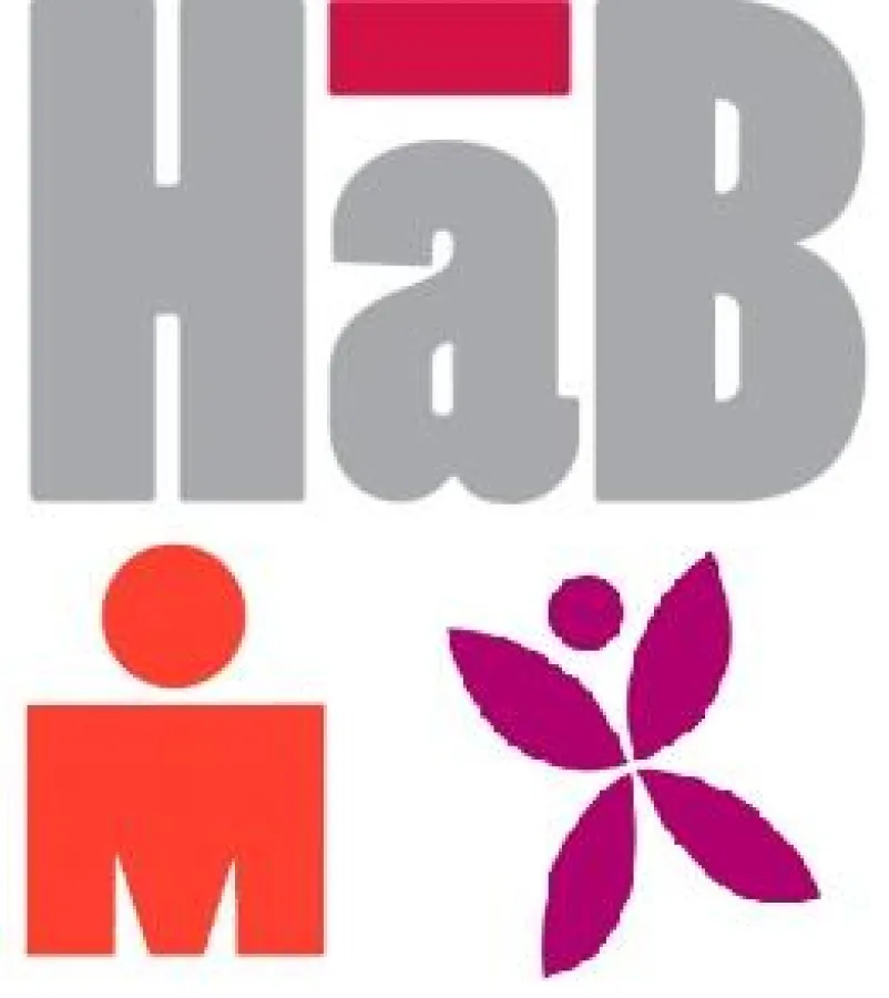 HaB IRONMAN IronGirl